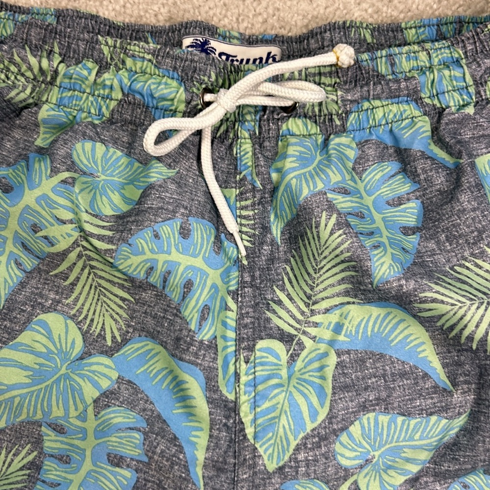 Trunks Swim Trunks - Picture 3 of 7